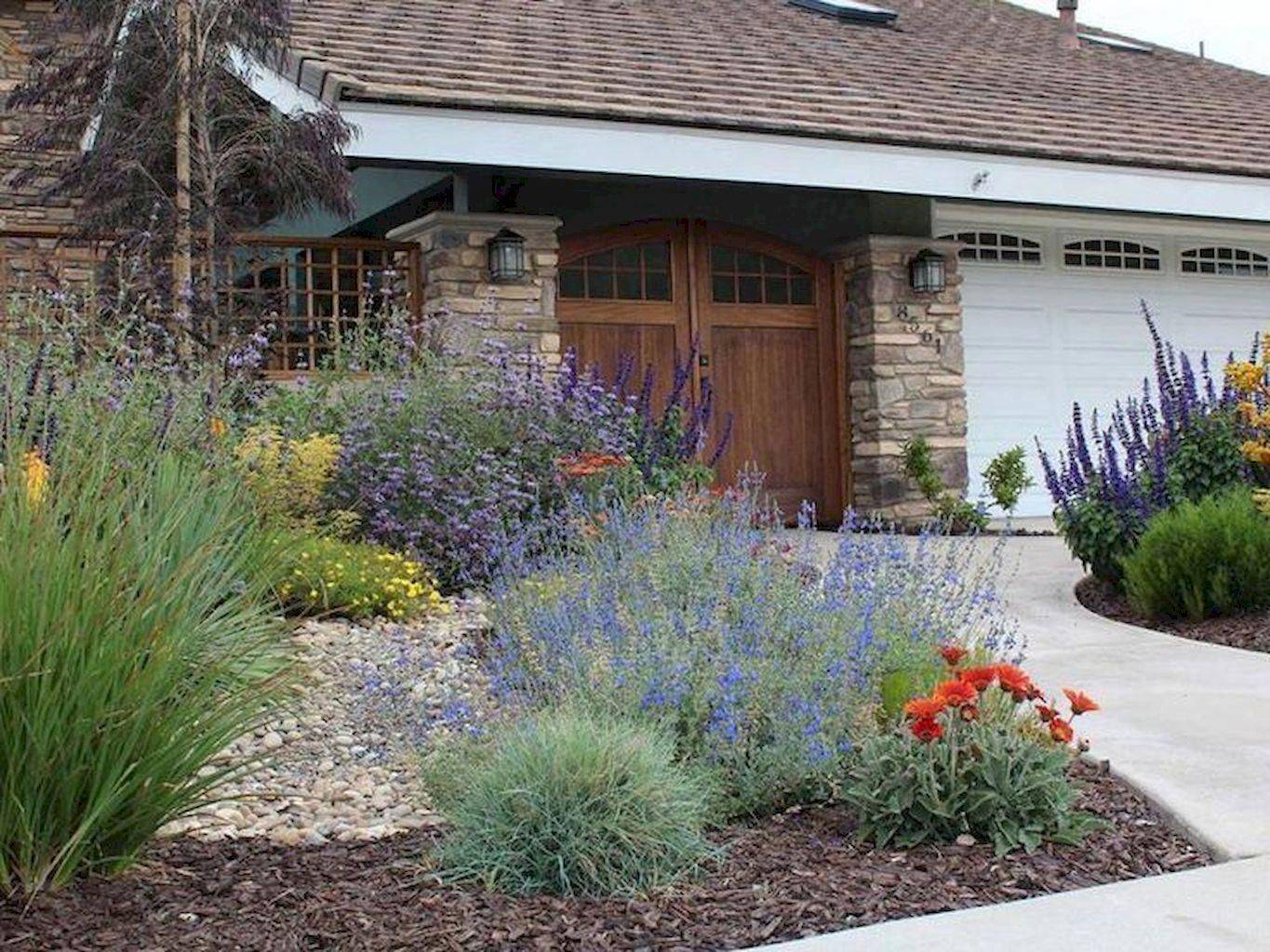 Arid Hillside Garden Hillside Garden