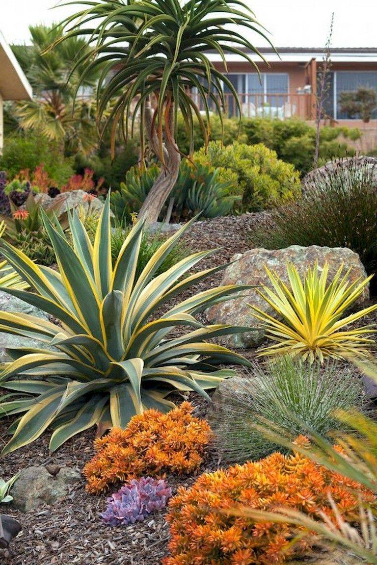 Google Search Modern Garden Landscaping