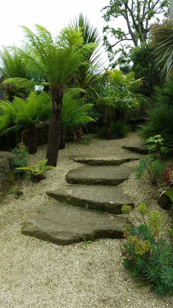 California Friendly Garden Design Ideas Tropical Garden Design