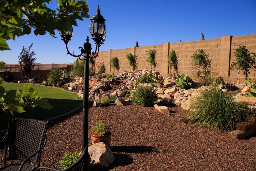Desert Modern Landscape Design