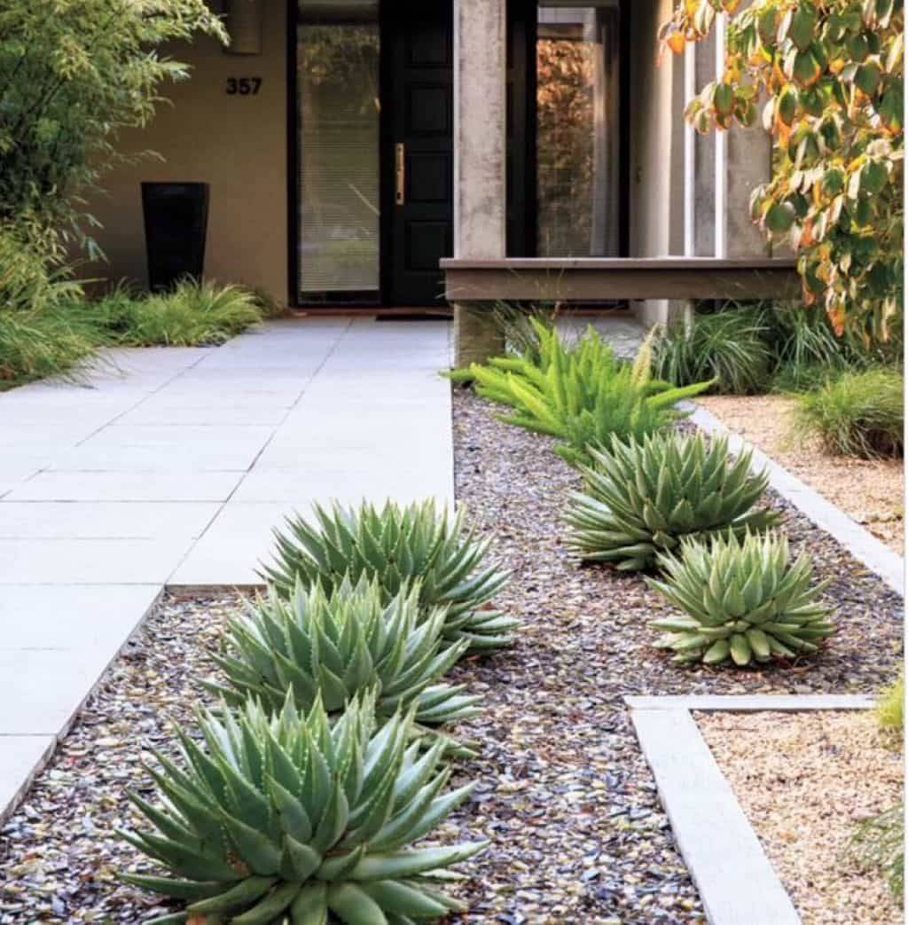 Super Creative Desert Landscaping Ideas Backyard Just On Kennys