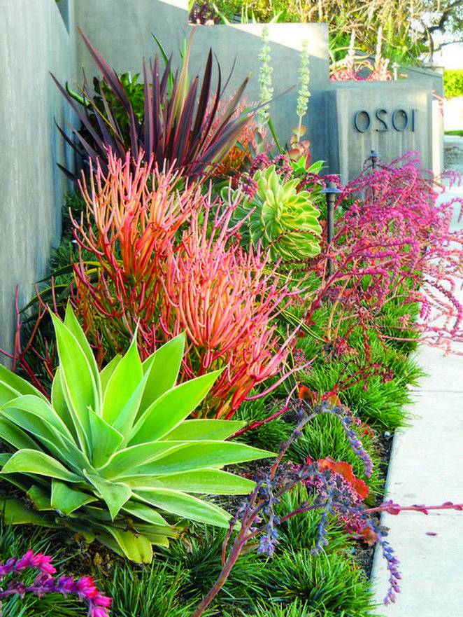 Amazing Fresh Front Yard Landscaping Ideas