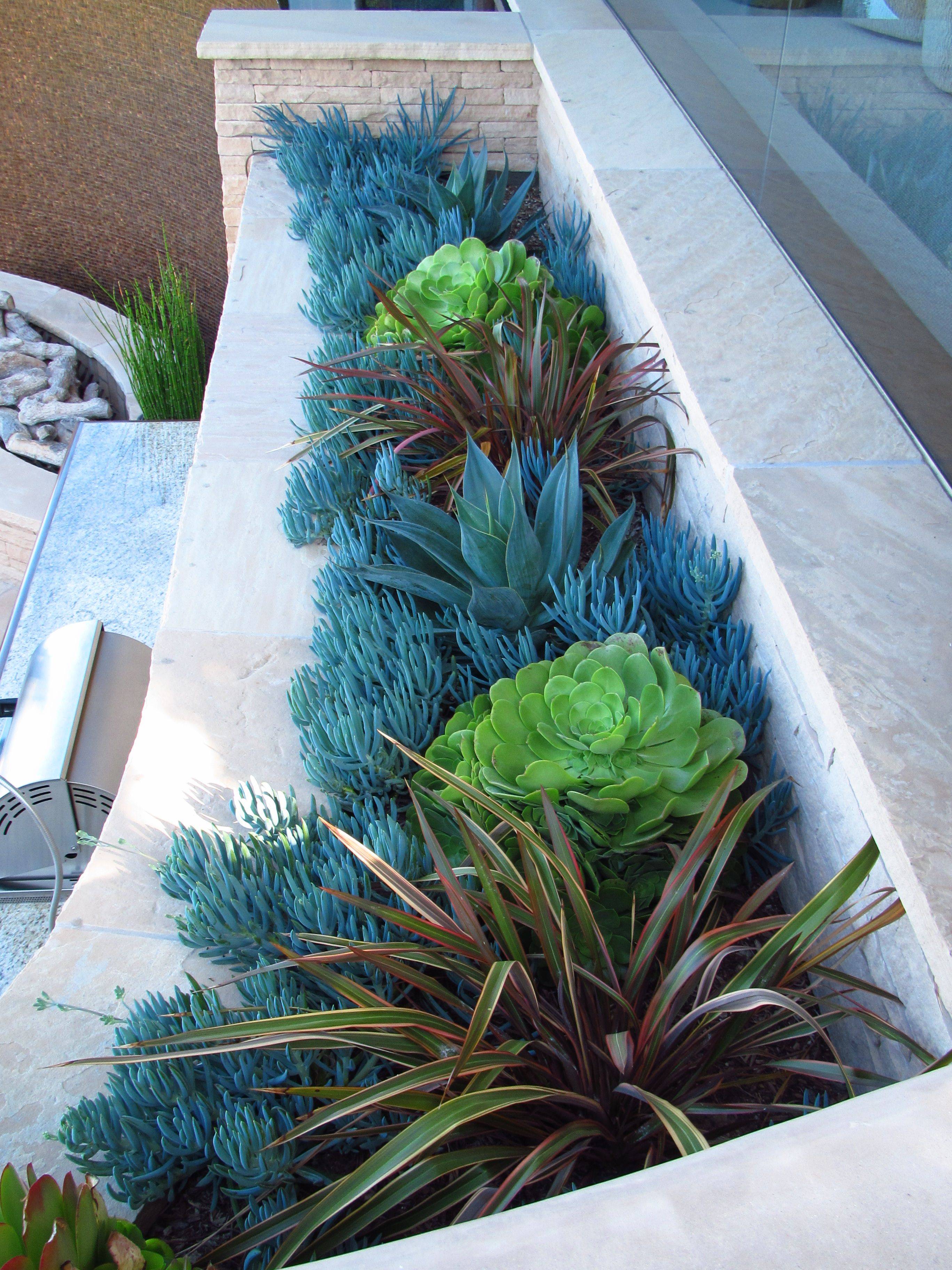 Awesome Succulent Front Yard Landscaping Ideas
