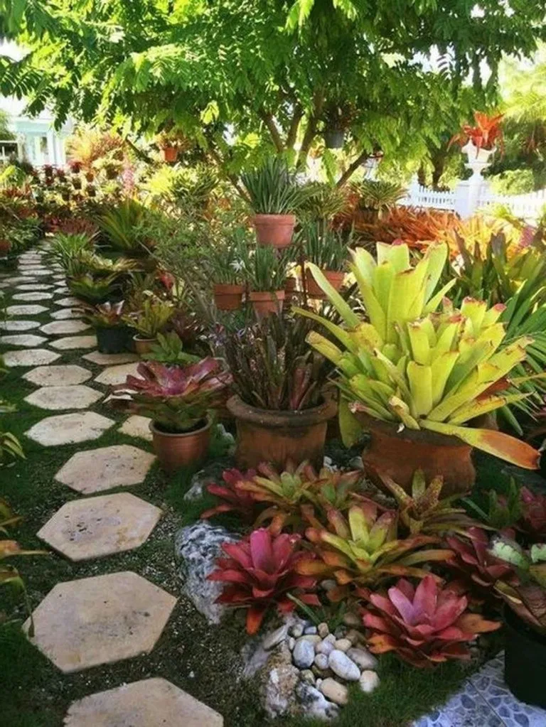 Backyard Landscaping Arizona Beterhome