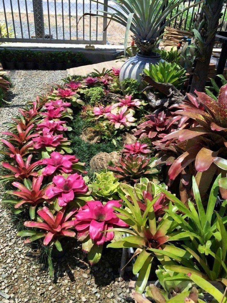 The Dreamiest Gardens