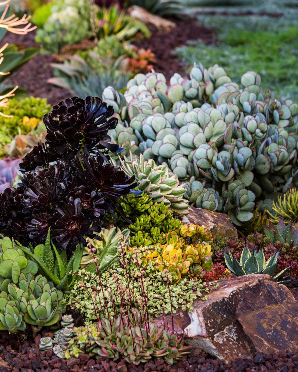 Front Yard Rock Garden Landscaping Ideas