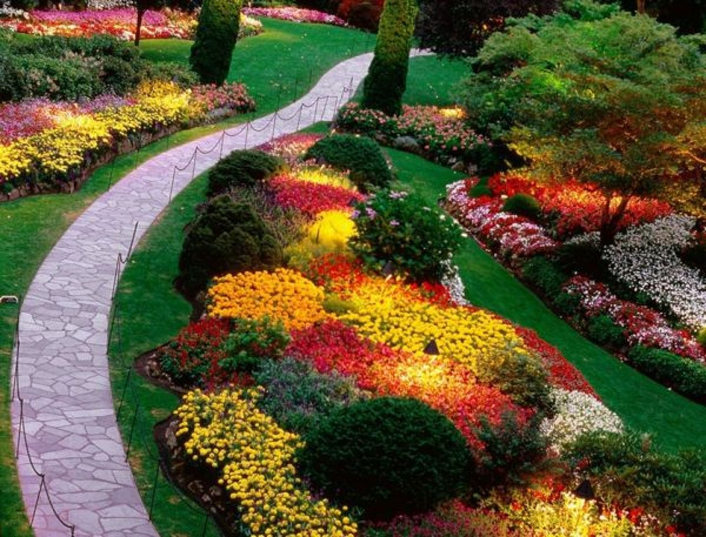 Blooming Rock Garden Design Ideas