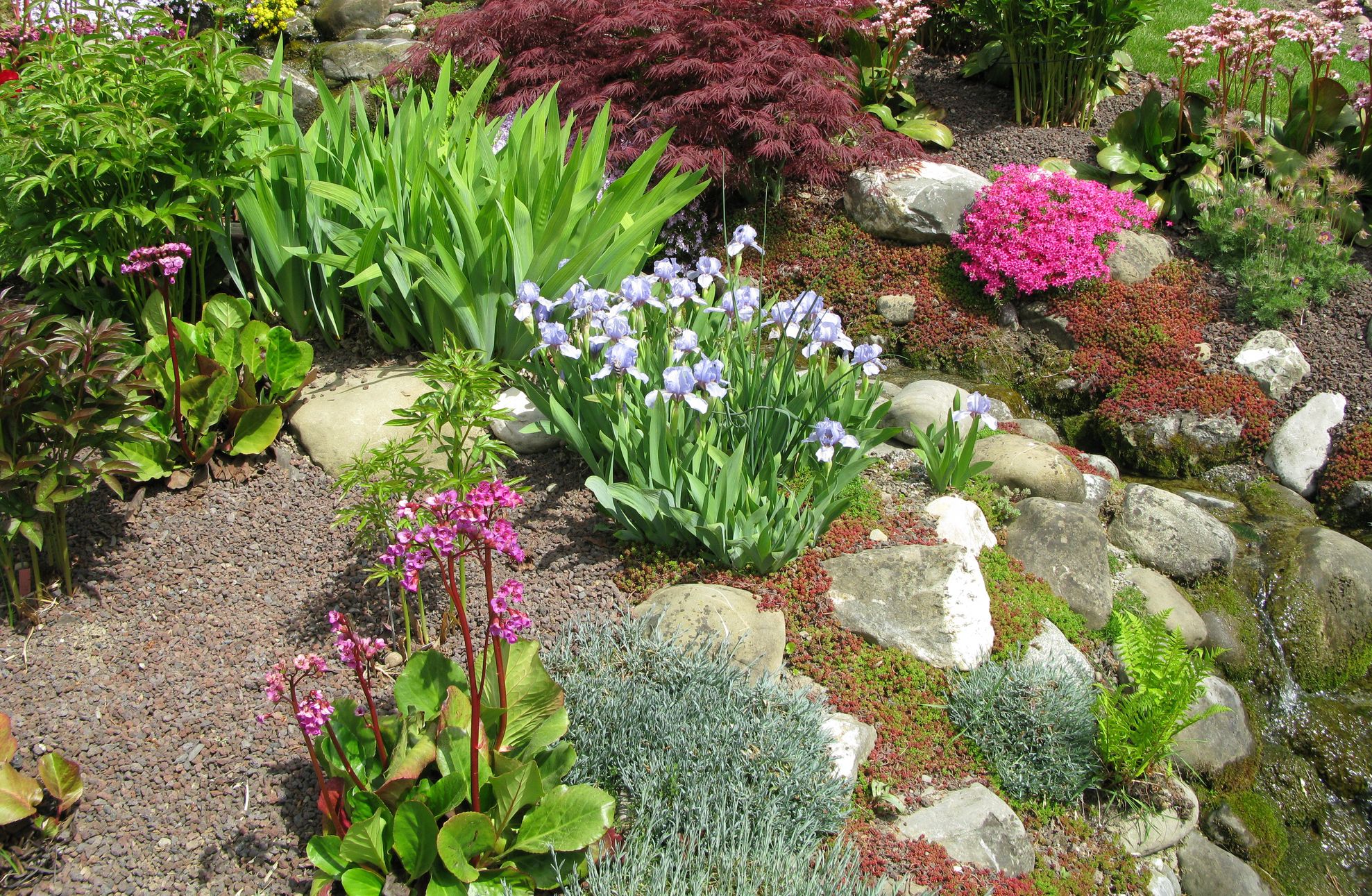 Rock Flowers Garden Paving