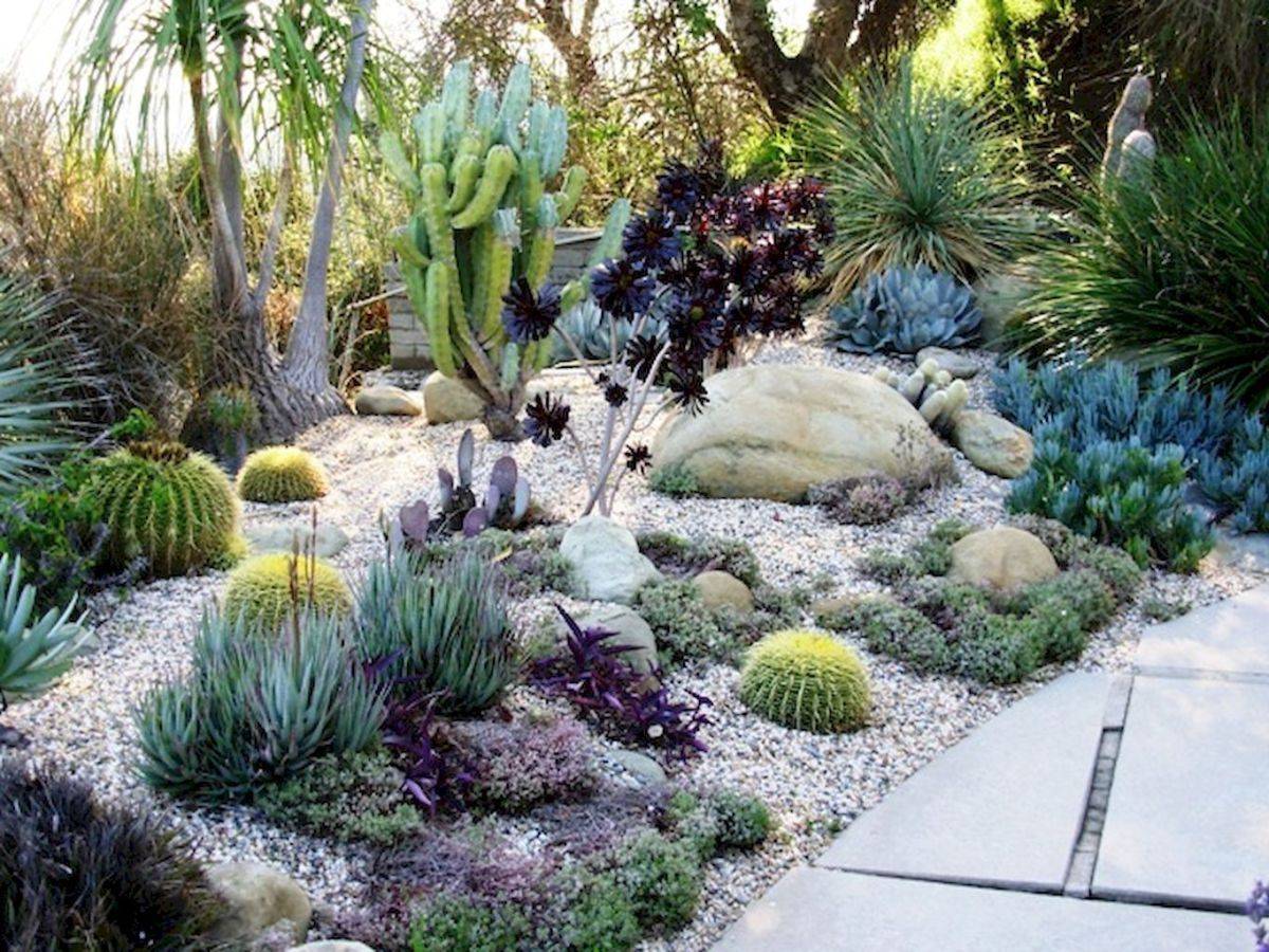 Luxury River Rocks Ideas