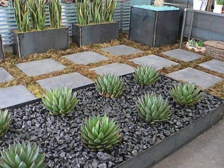 Succulents Garden Plants