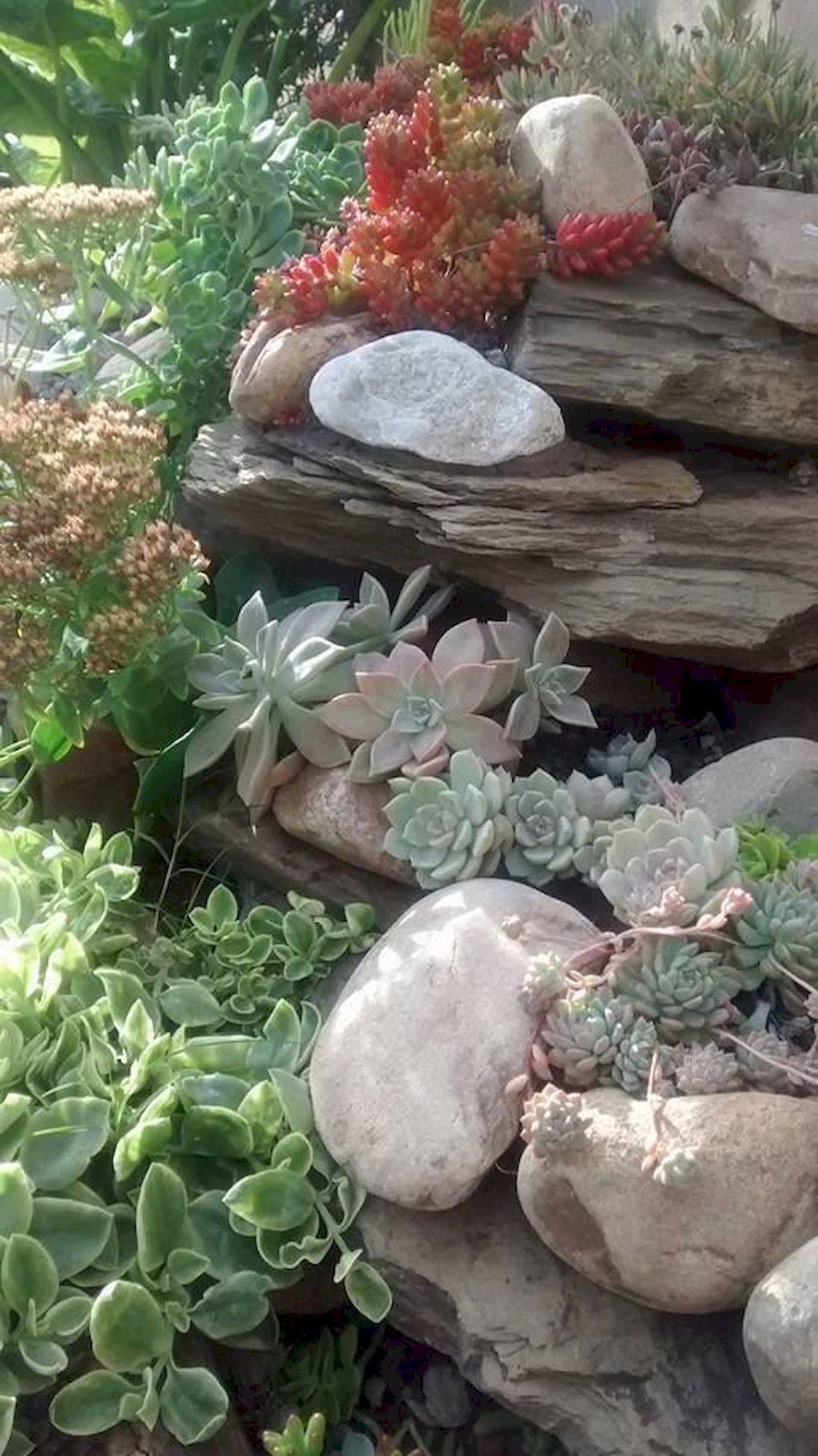 Drought Tolerant Landscaping Droughttolerant Landscaping