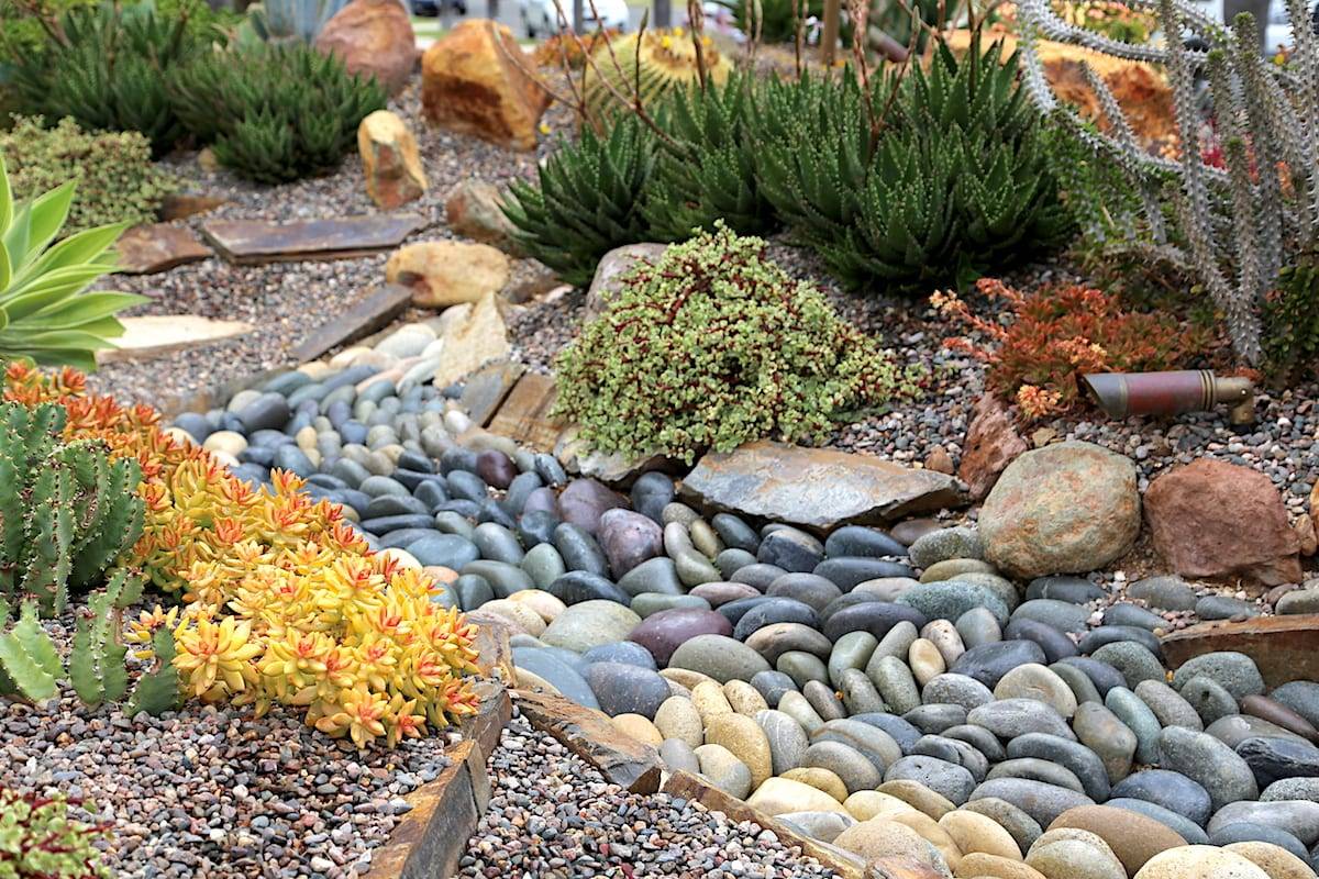 Easy Backyard Ideas