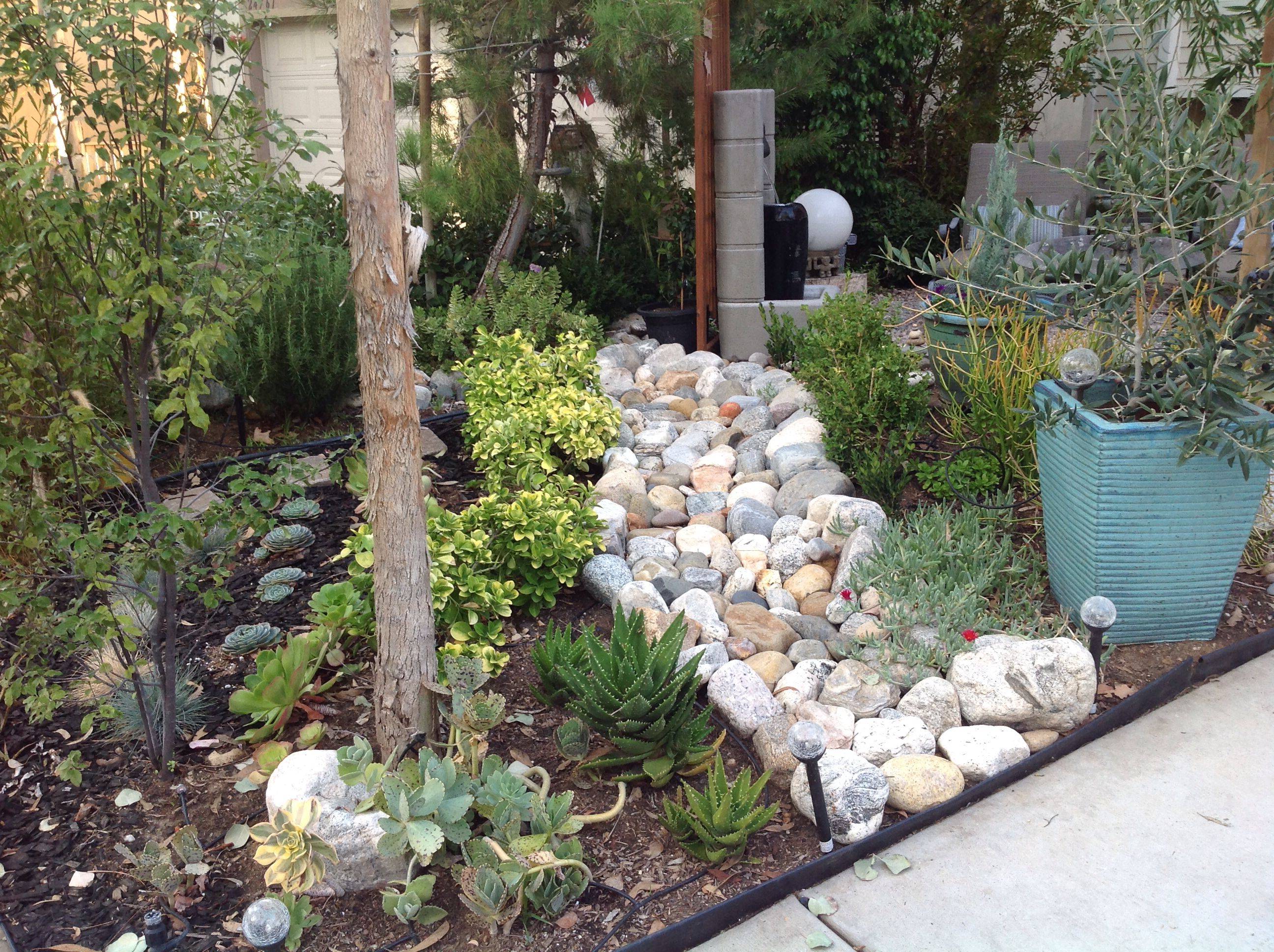 Easy Backyard Ideas