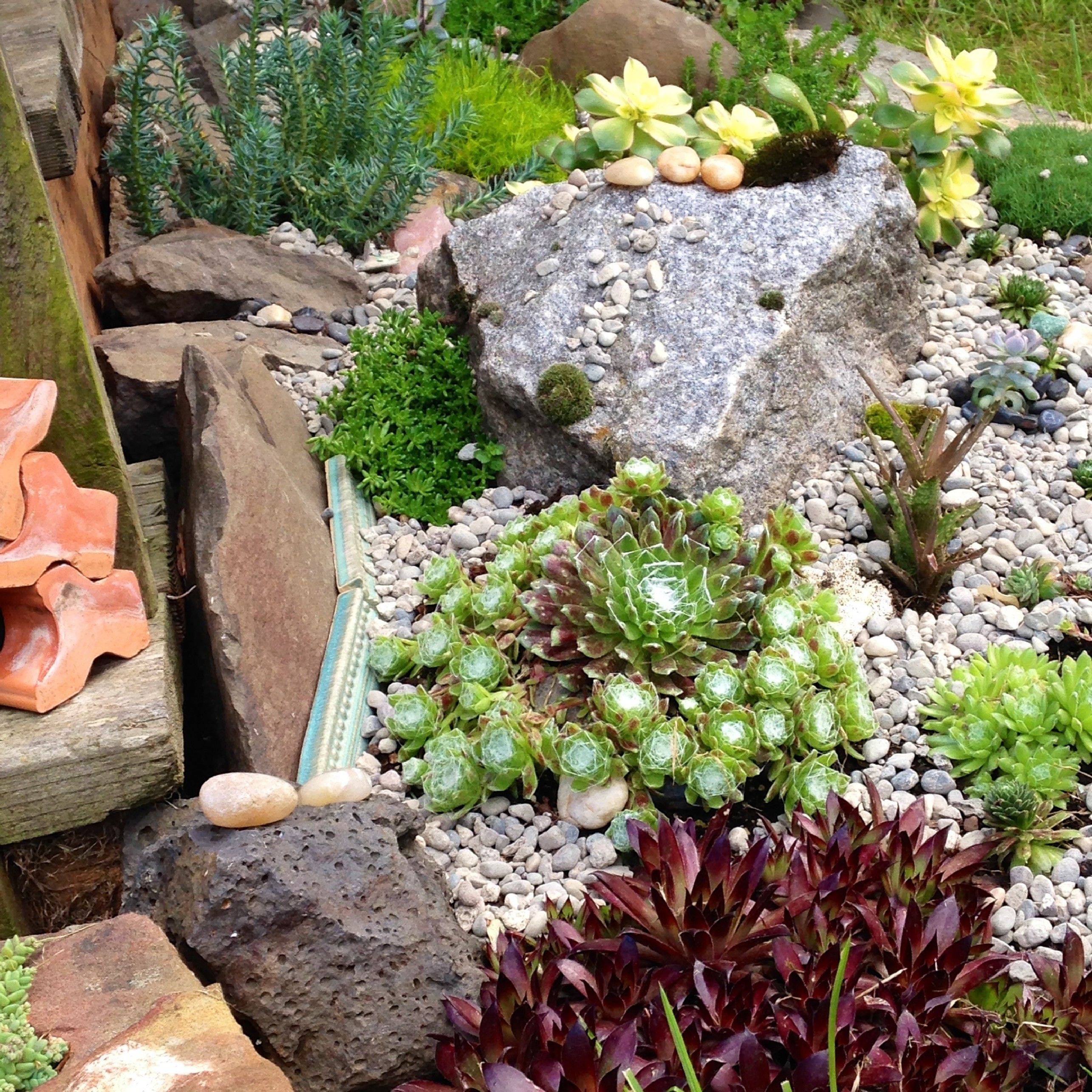 Affordable Rock Garden Landscaping Ideas