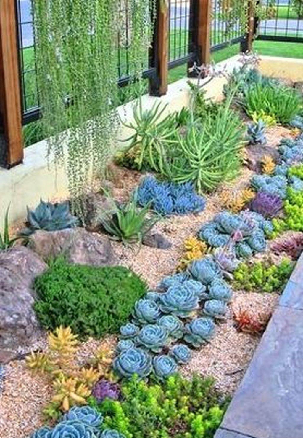 Impressive Front Succulent Garden Ideas