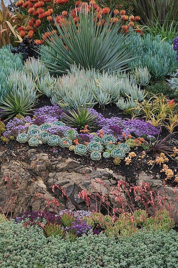 Rock And Succulent Garden Ideas Photograph