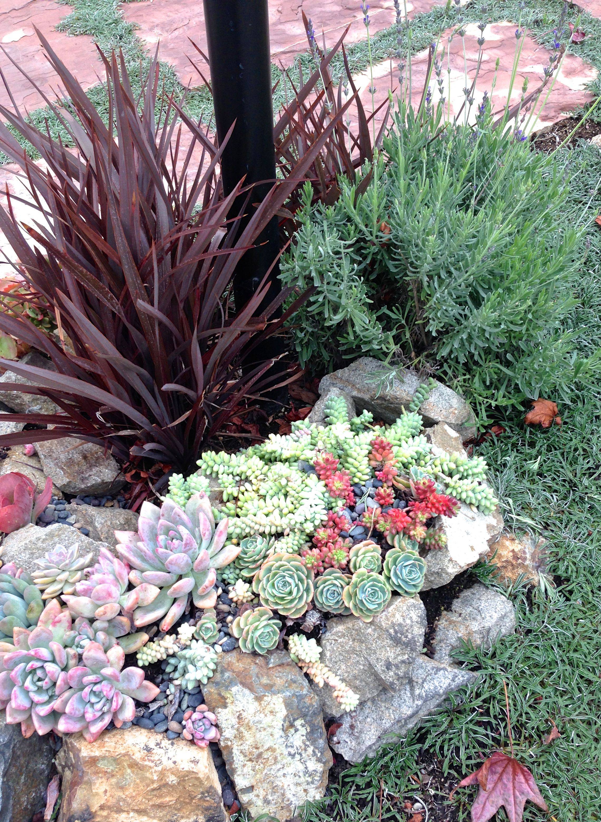 Tiny Backyard Ideas