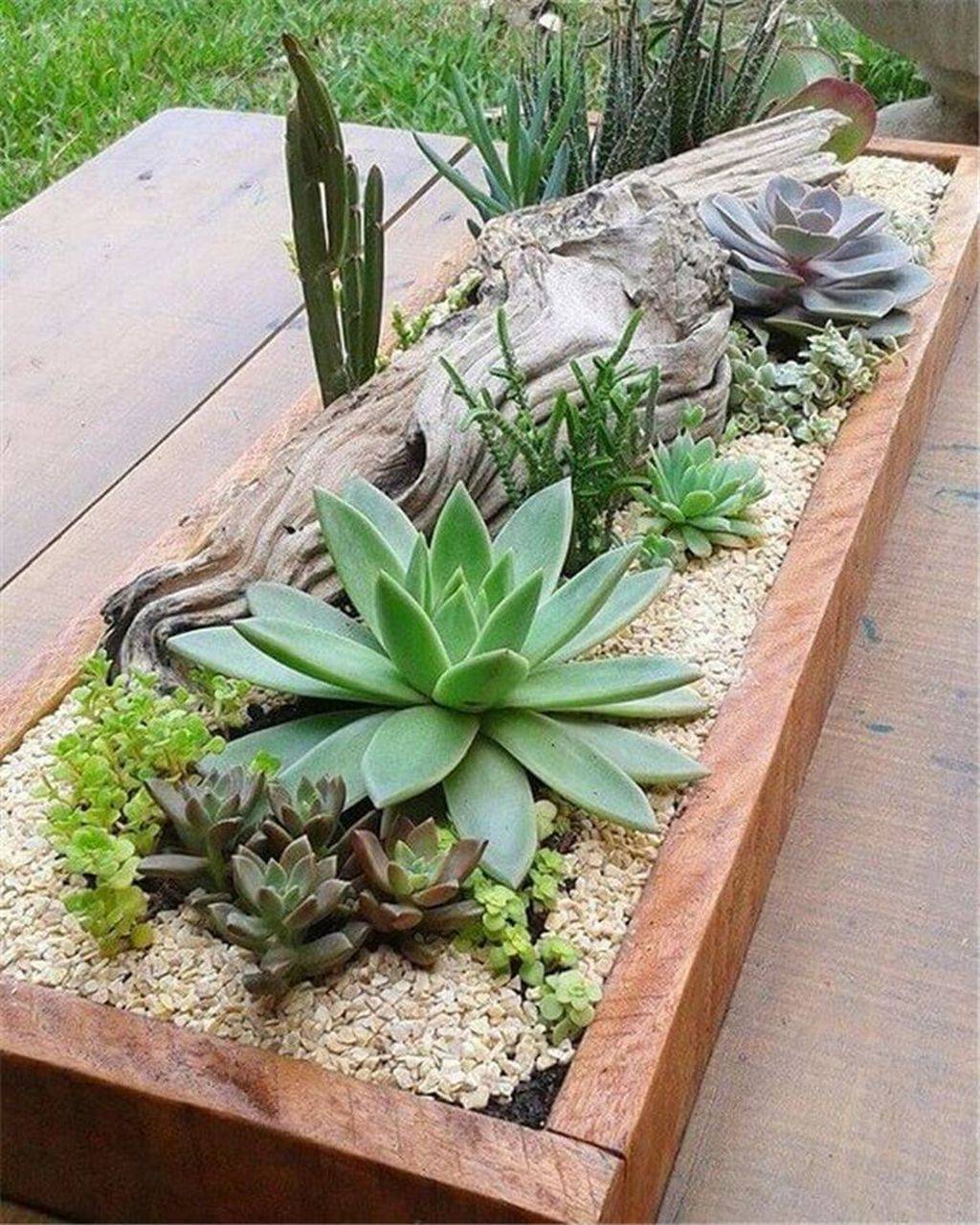 Best Low Maintenance Garden Design Ideas Page