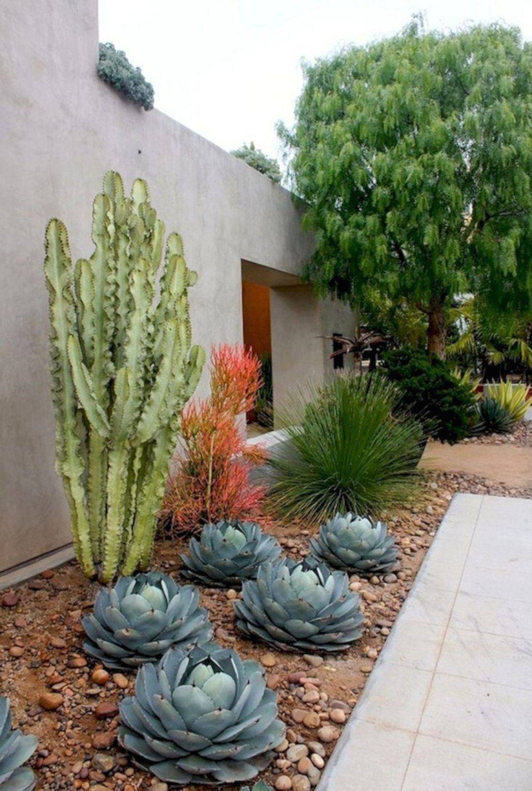 Awesome Succulent Front Yard Landscaping Ideas