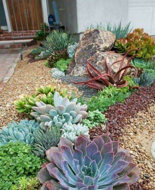 Pin On Garden
