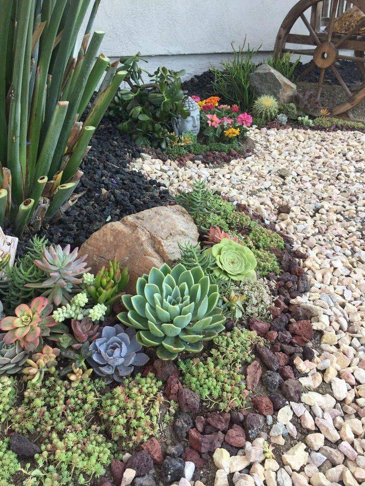 Diy Succulent Container Designs