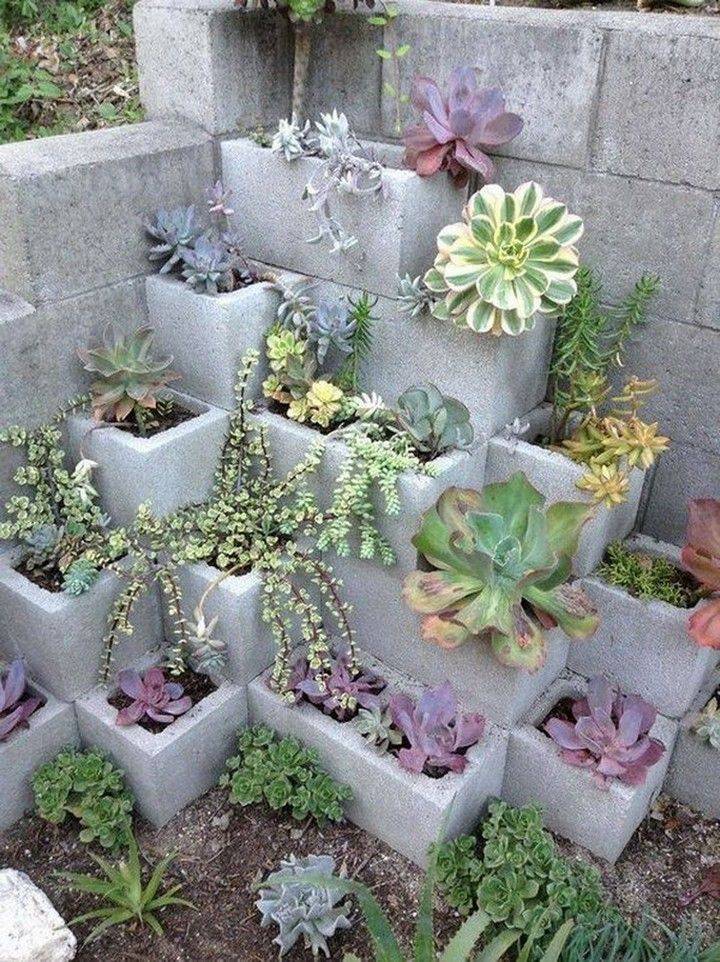 Succulent Garden Diy