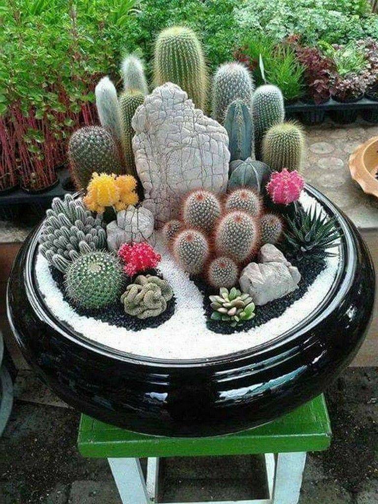 Homeandgardenlandscape Succulent Garden Design