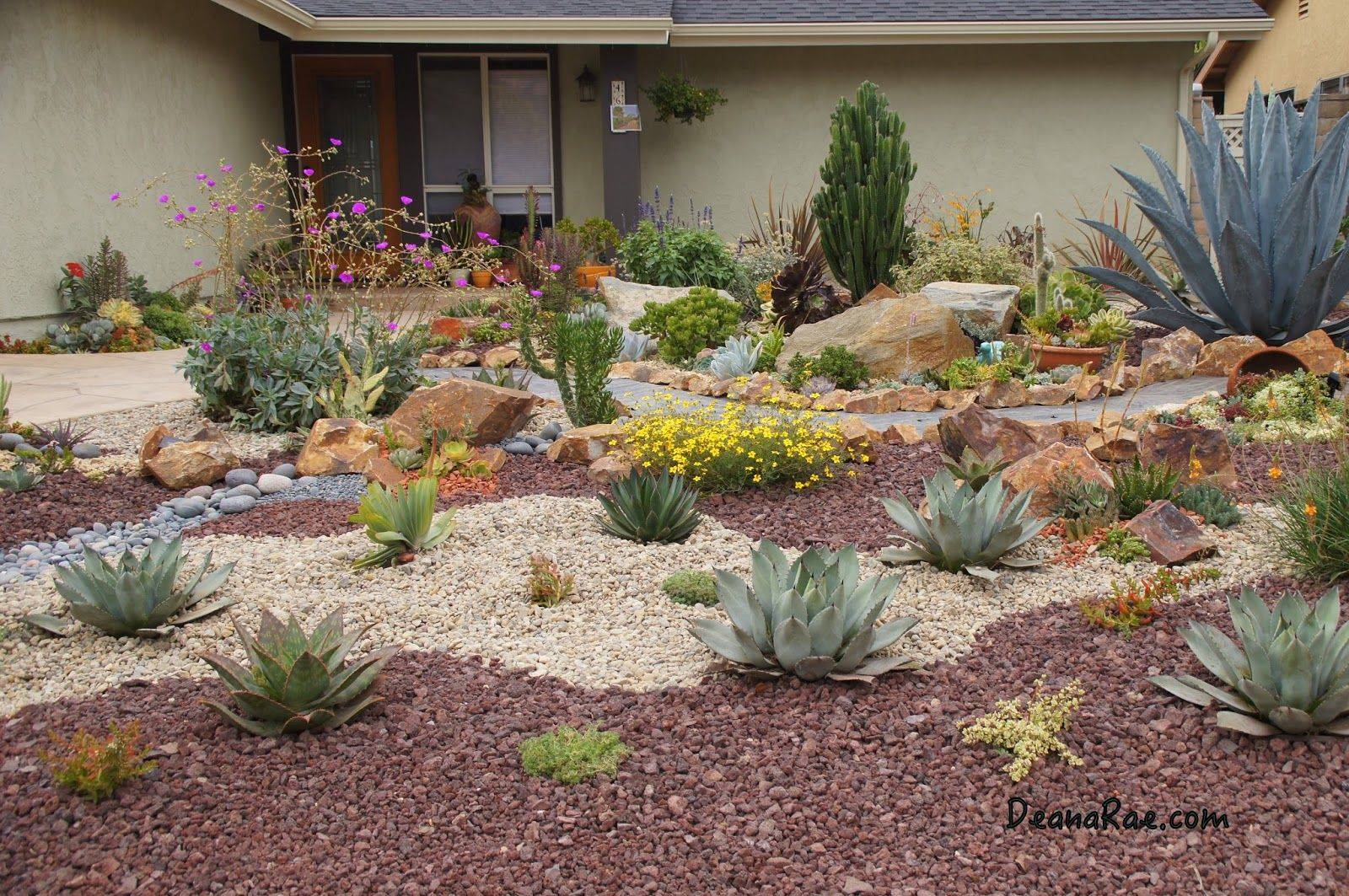 Amazing Succulent Front Yard Landscaping Ideas And Pictures Design
