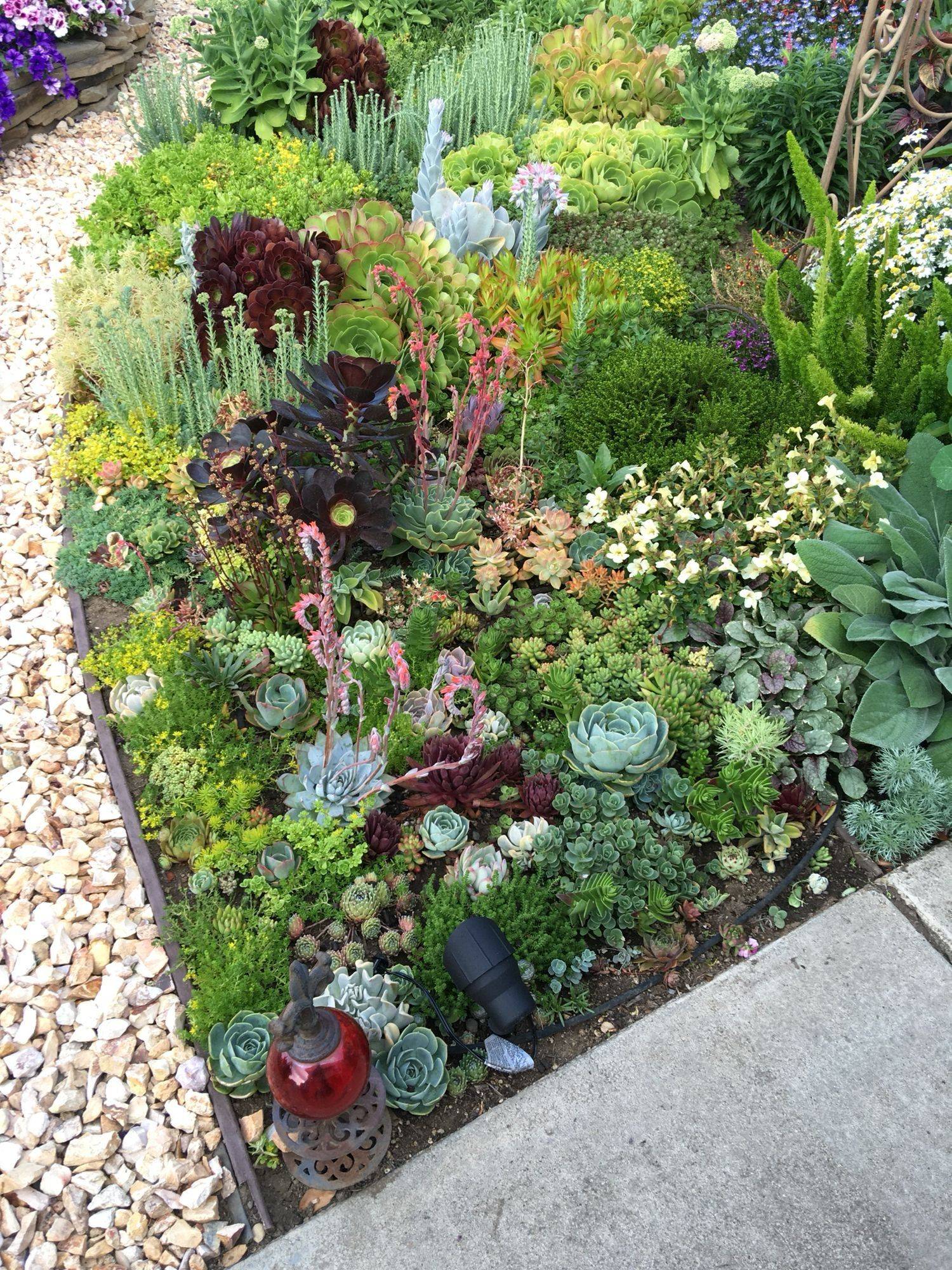 Awesome Succulent Front Yard Landscaping Ideas Magzhouse
