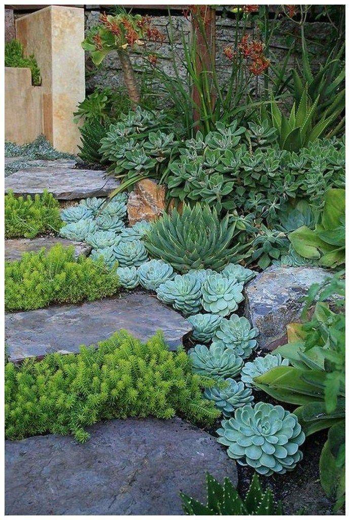 Awesome Succulent Front Yard Landscaping Ideas Magzhouse