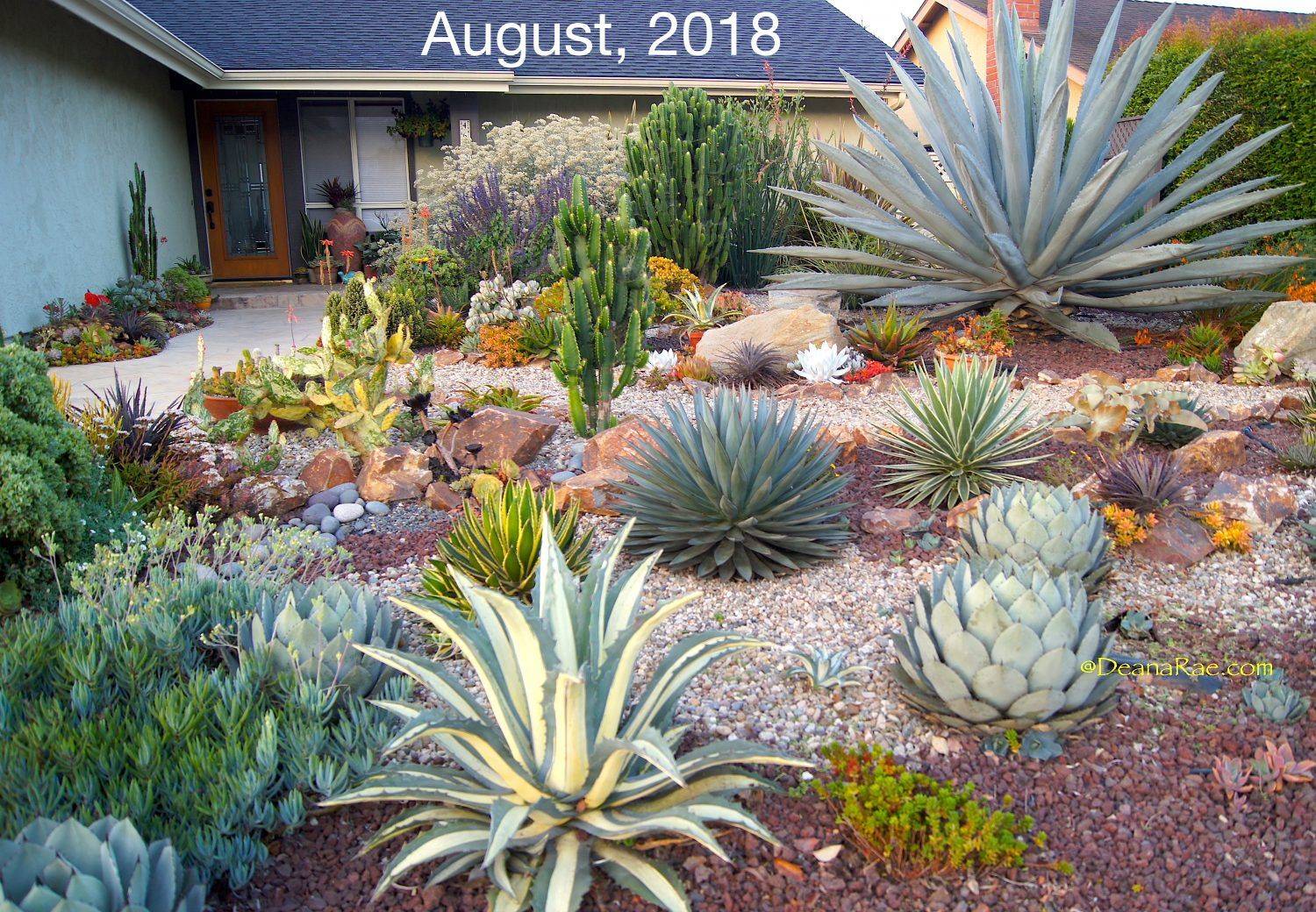 Awesome Succulent Front Yard Landscaping Ideas Magzhouse