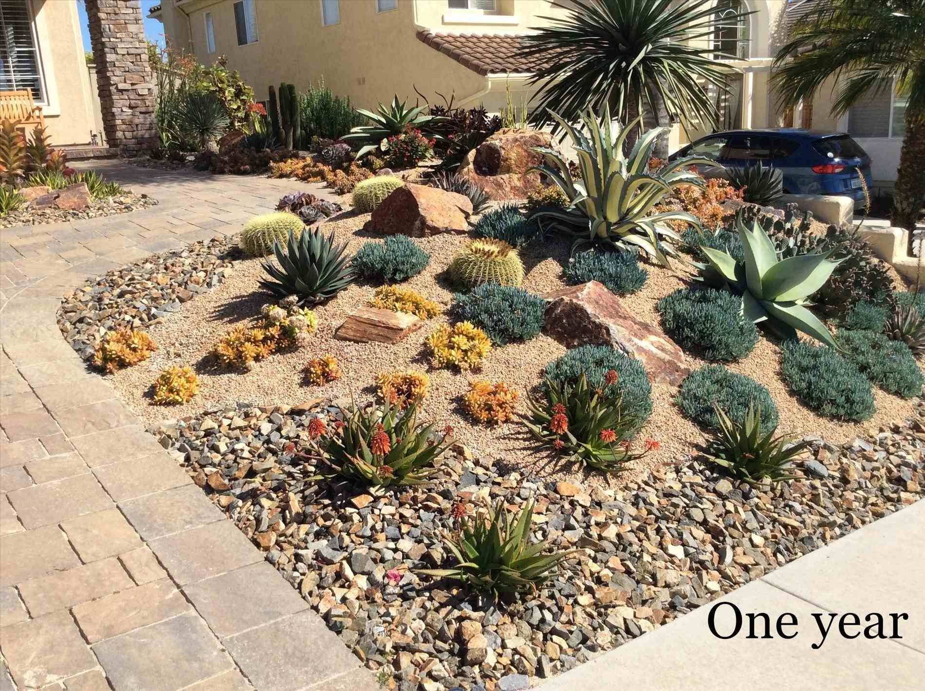 Gorgeous Succulent Garden Ideas