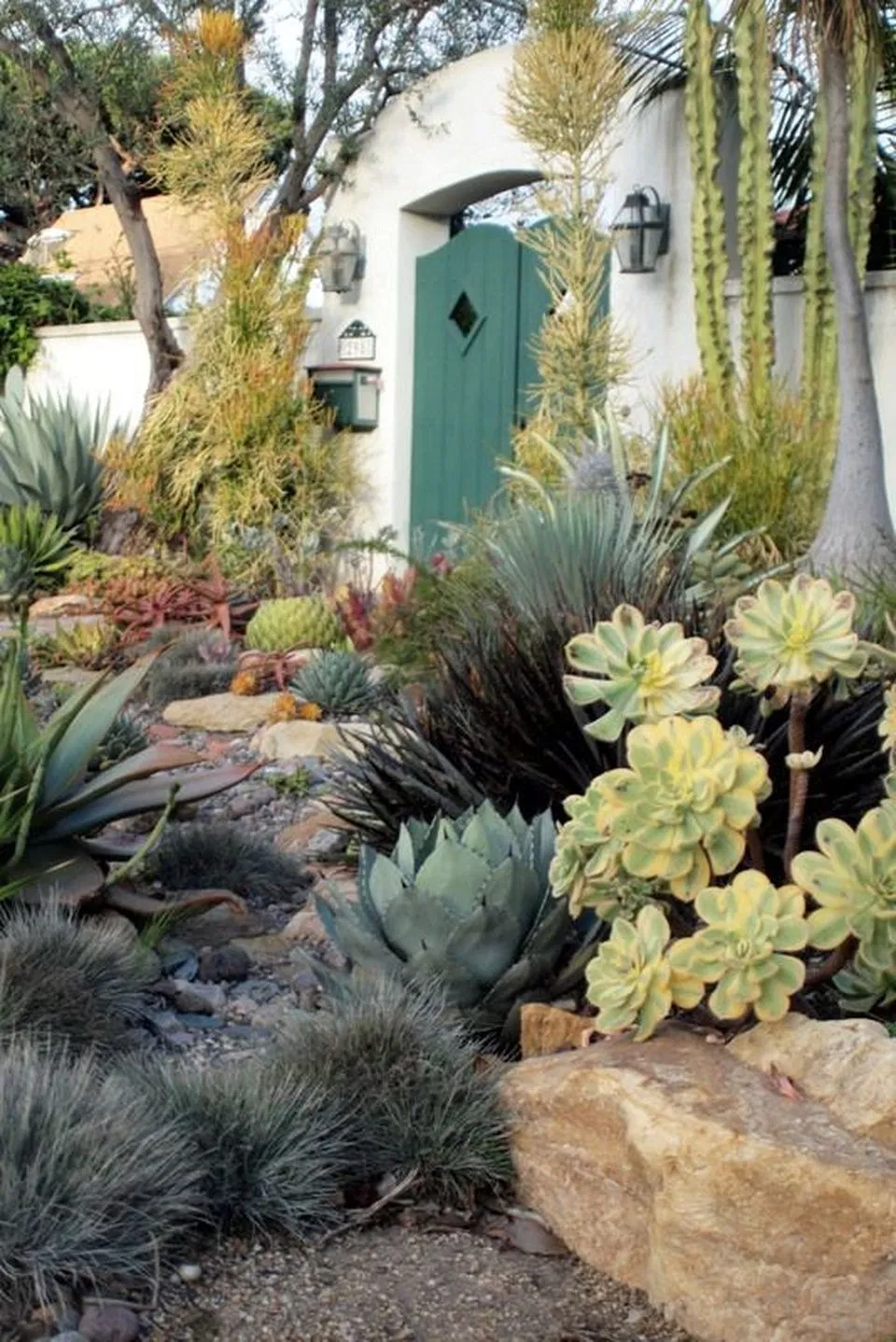 Stunning Oasis Design Ideas