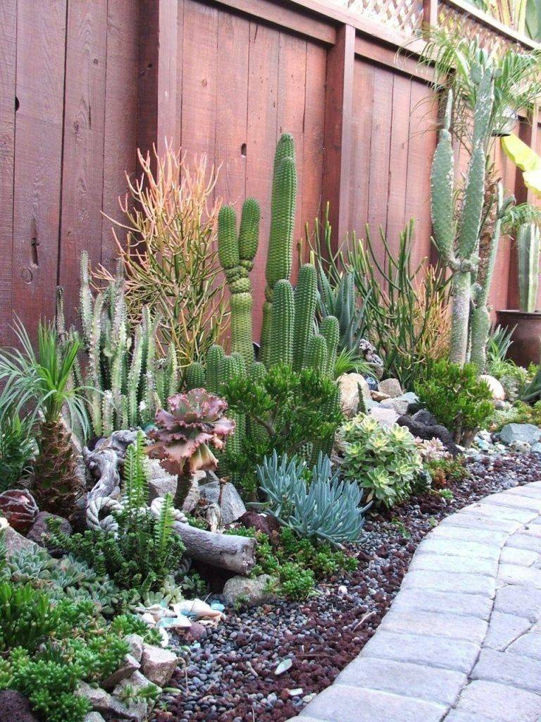 Spectacular Desert Garden Design Ideas