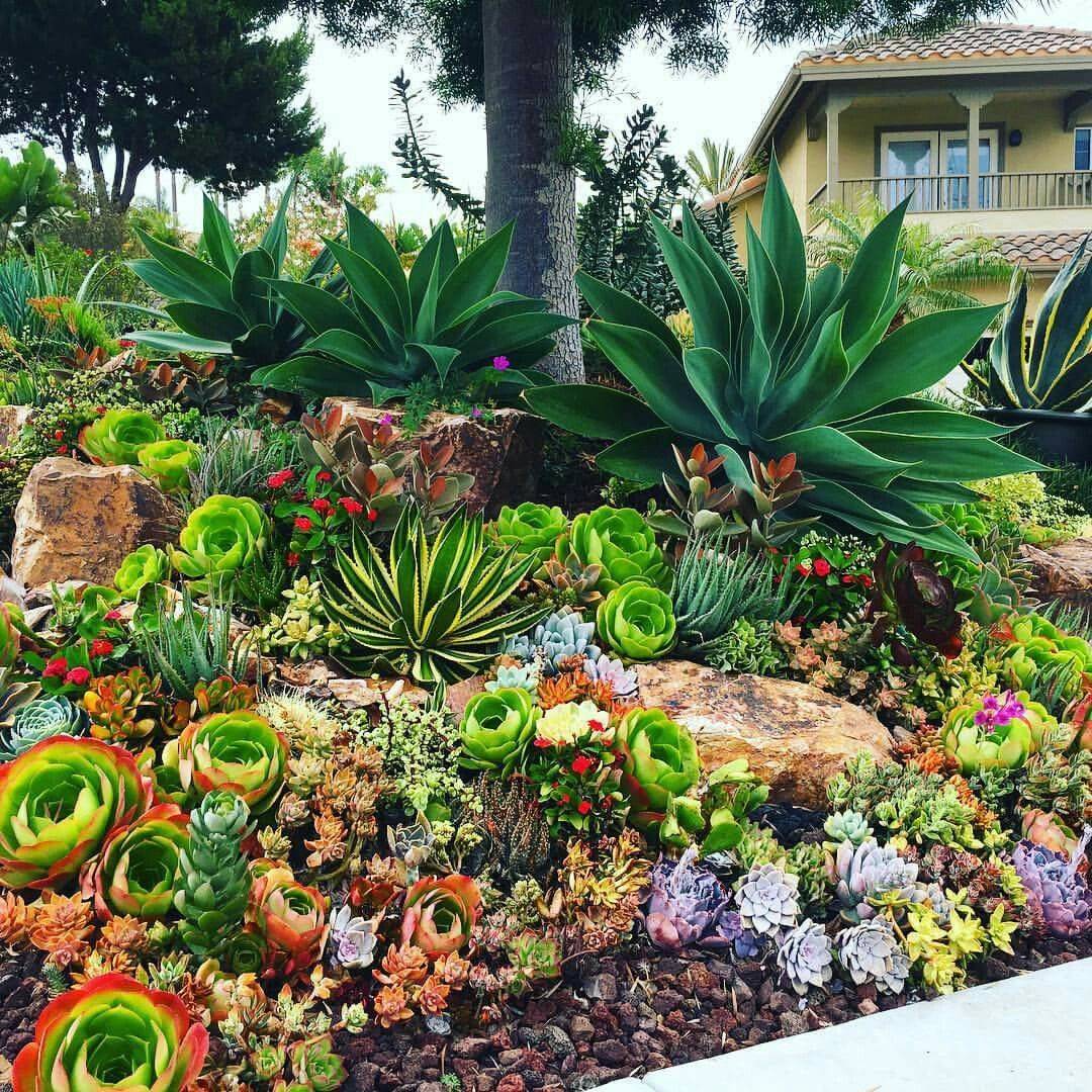 Gorgeous Front Yard Rock Garden Landscaping Ideas