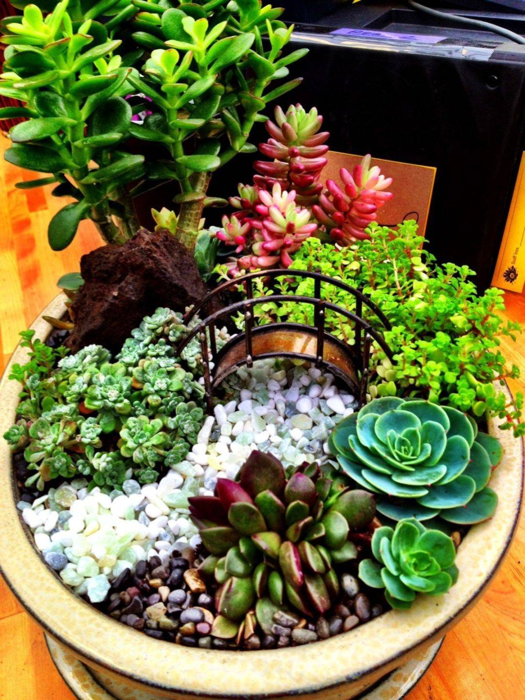 Charming Succulent Indoor Garden Ideas