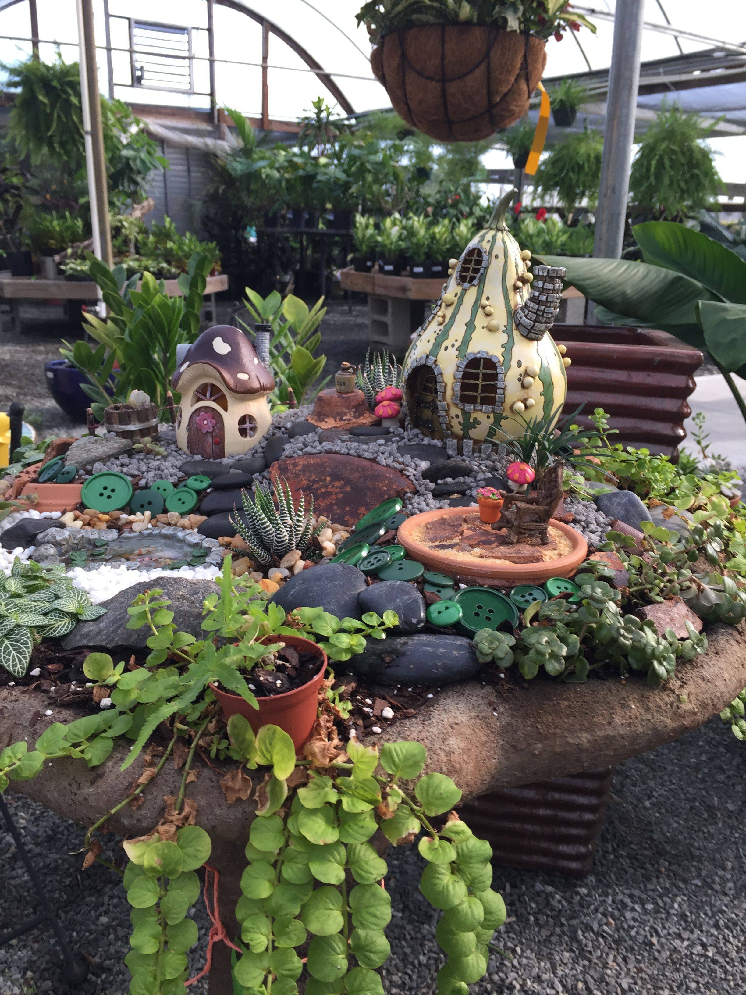 Succulent Fairy Garden