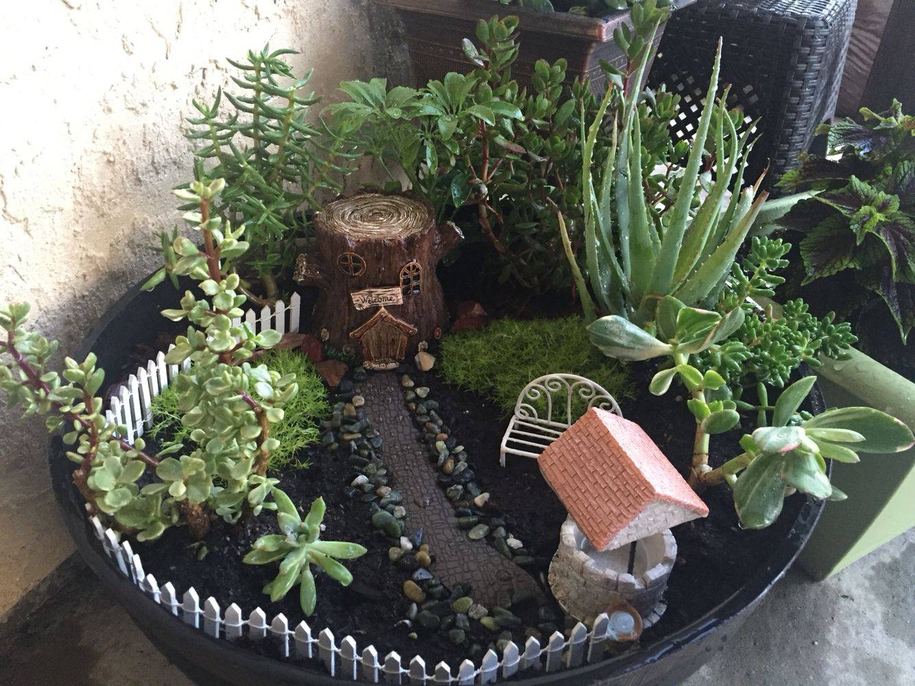 Succulent Fairy Garden Tutorial Diy Succulent Fairy Garden Fairy