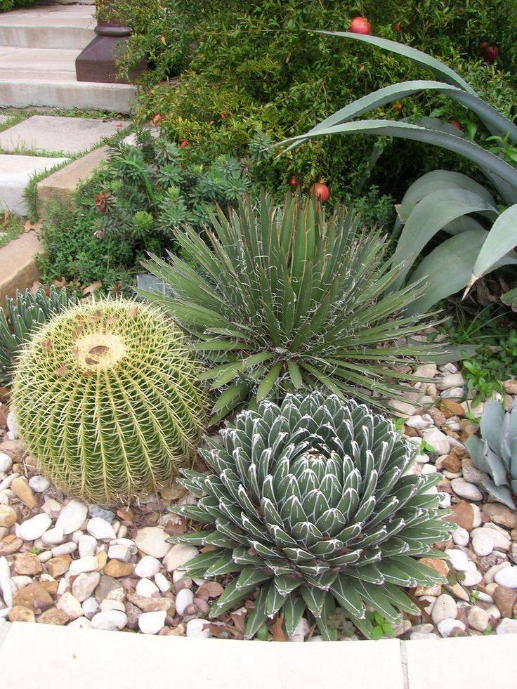 Beautiful Desert Garden Design Ideas