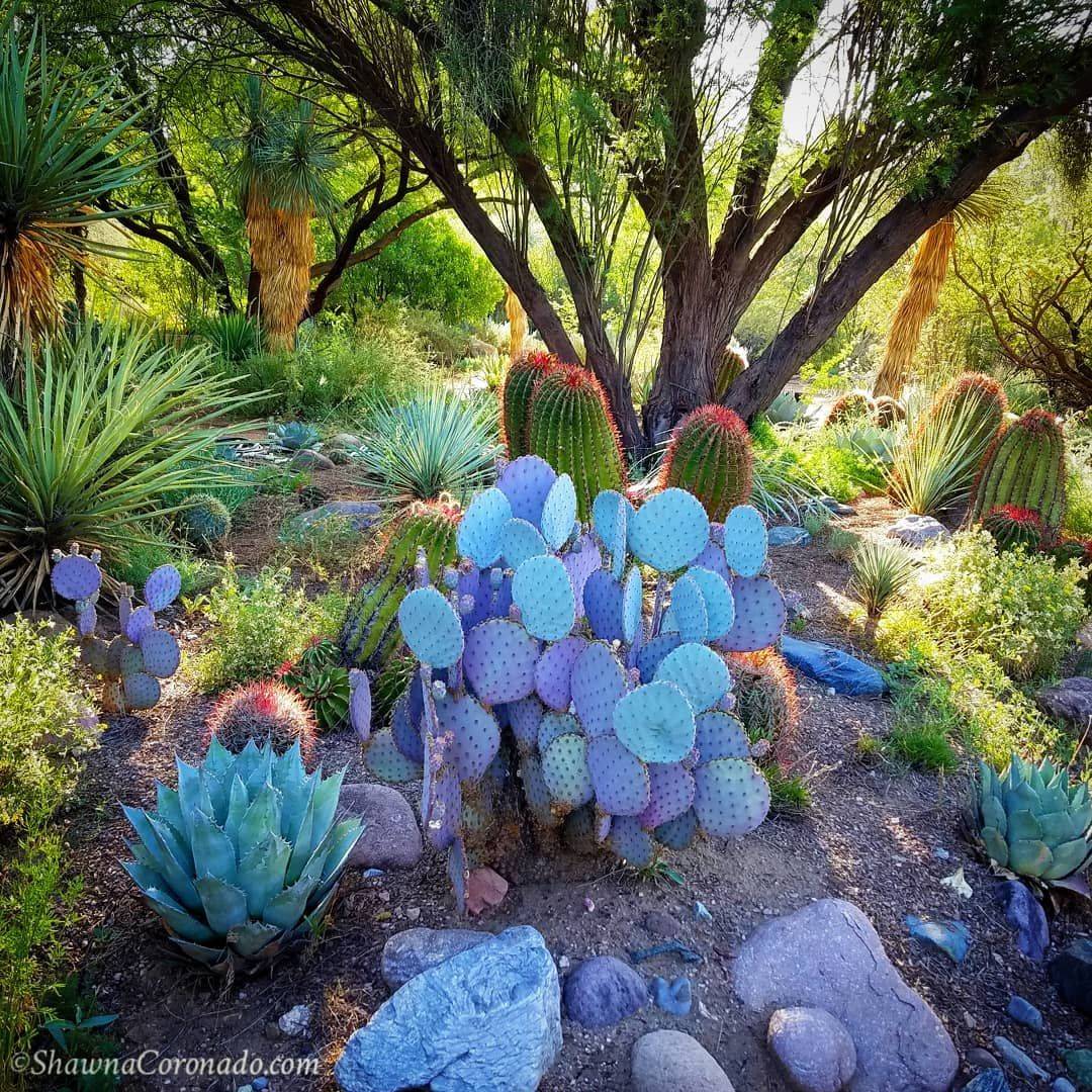 Gorgeous Fabulous Side Yard Garden Design Ideas