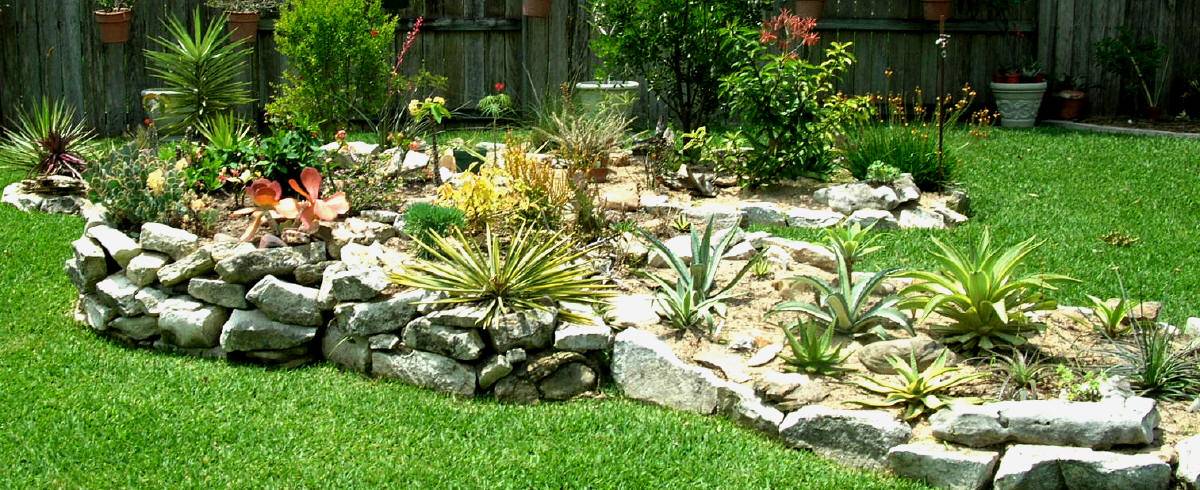 Large Cactus Garden Frisco