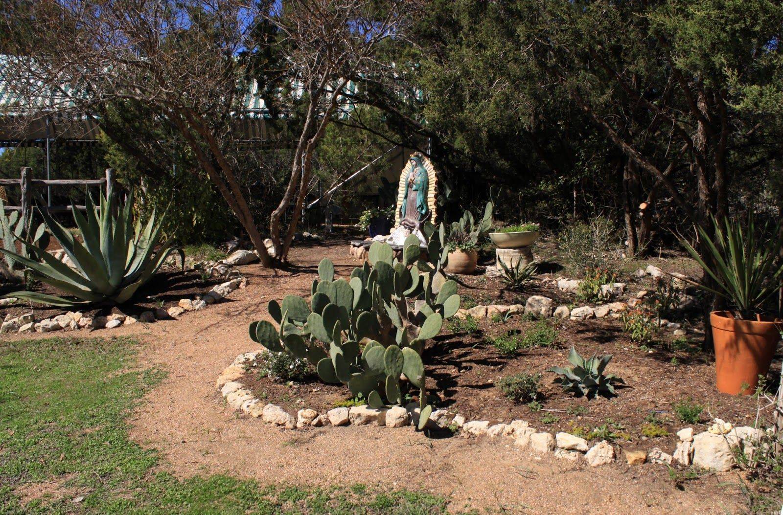 Large Cactus Garden Frisco