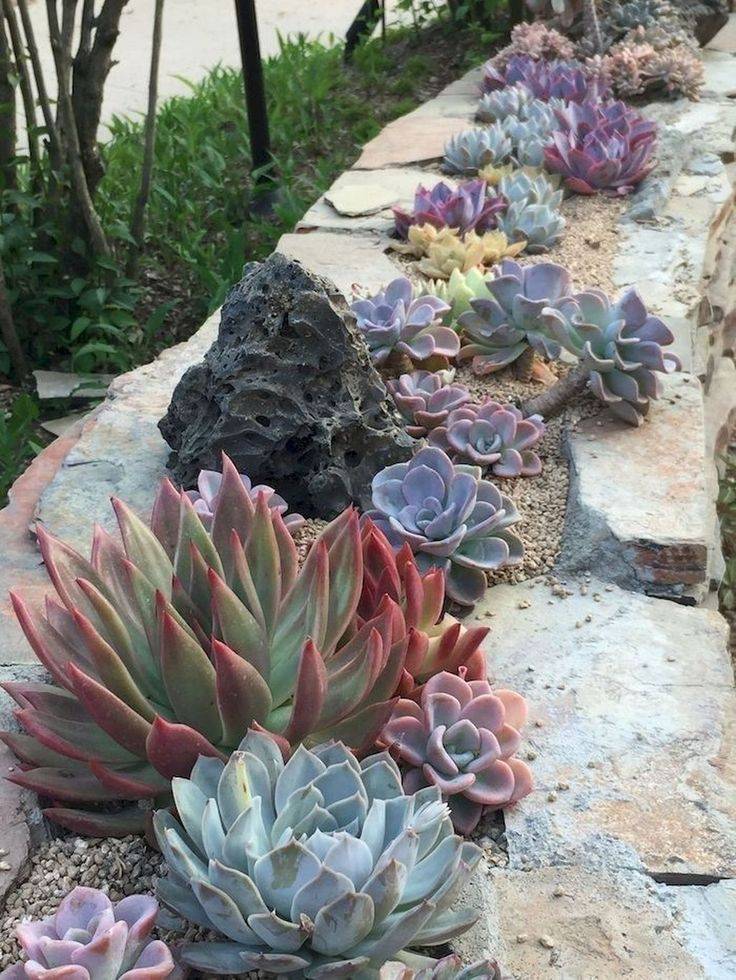 Beautiful Colorful Succulents Composition Garden Decor Ideas