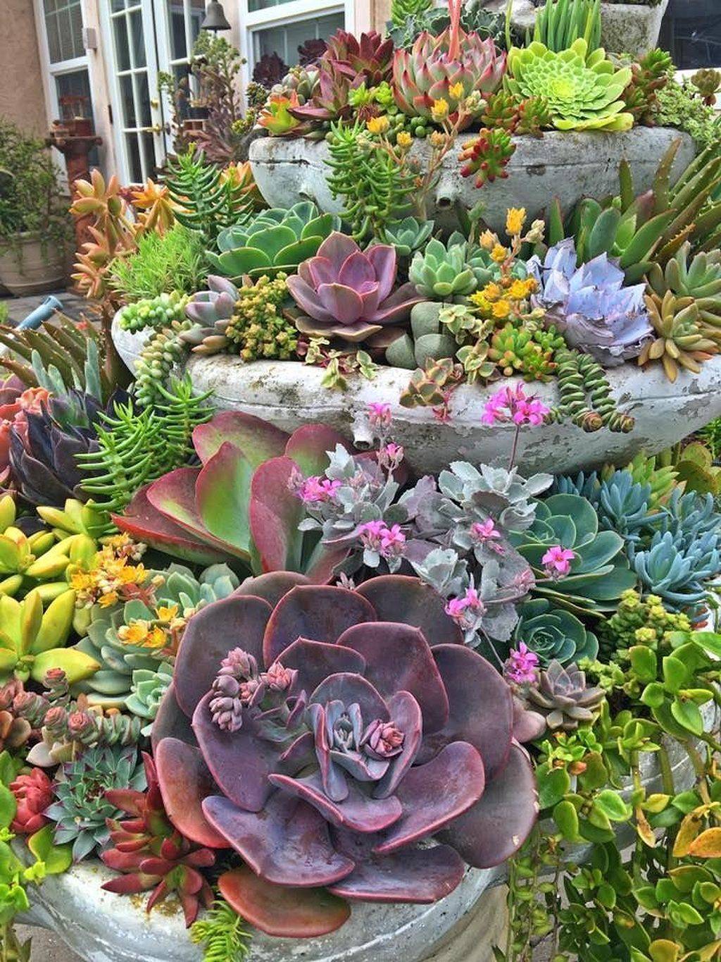 Beautiful Simple Front Yard Landscaping Design Ideas Succulent