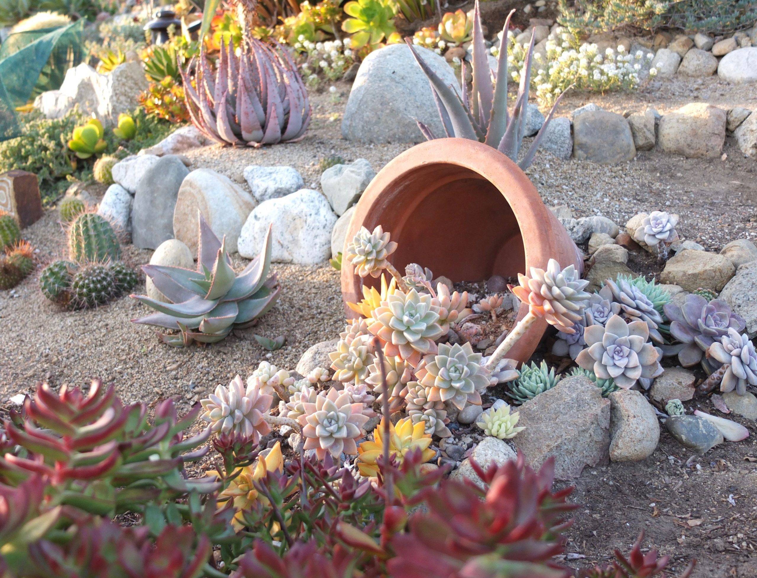 Beautiful Front Yard Rock Garden Landscaping Ideas