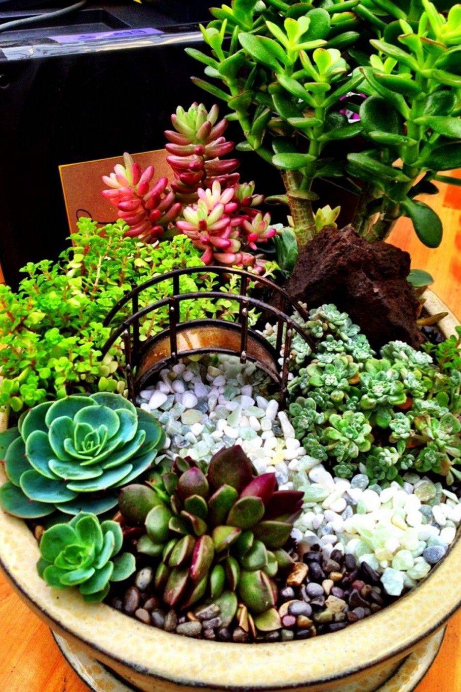 Beautiful Succulent And Cactus Garden Xeriscape Front Yard