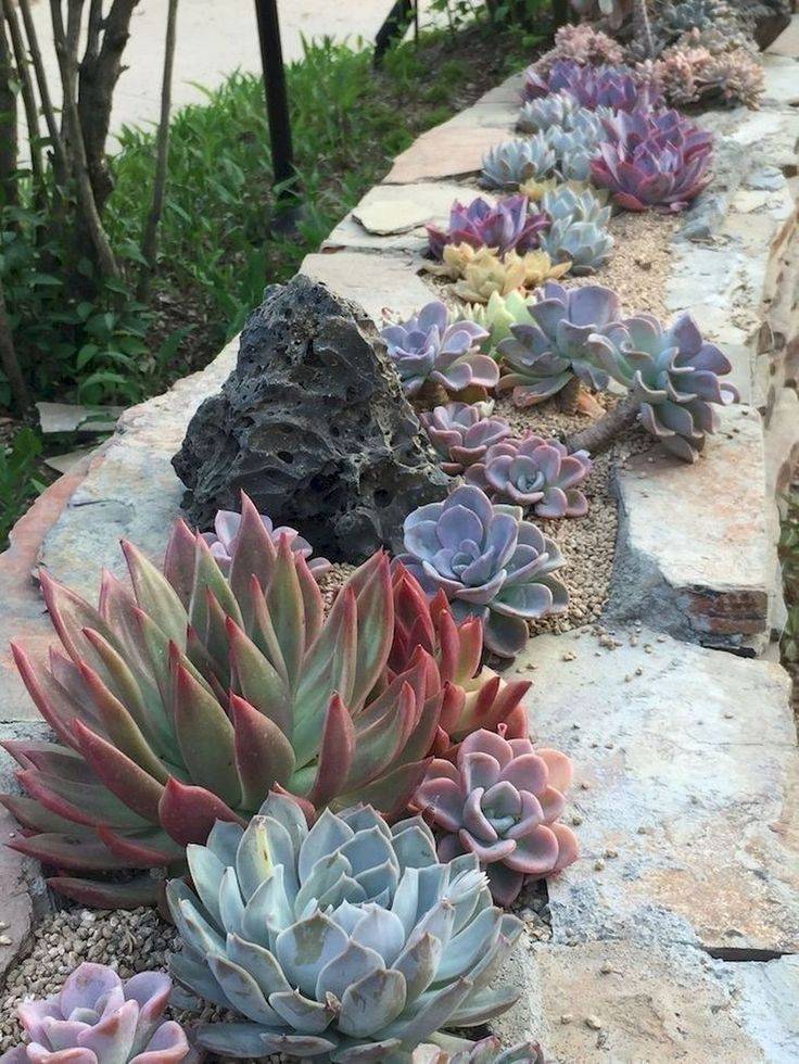 Stunning Indoor Succulent Garden Design Ideas