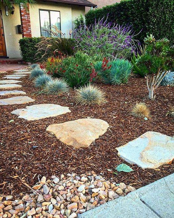 No Fail Perennials