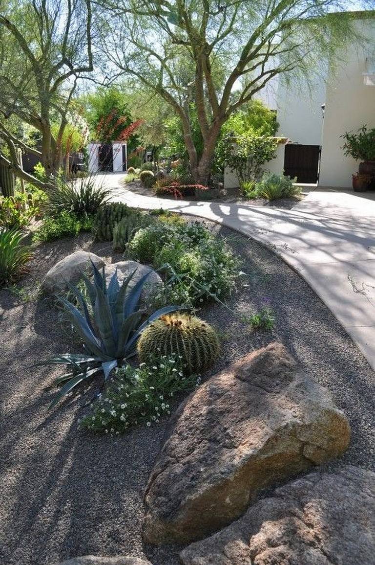 Lowwater Landscaping Ideas