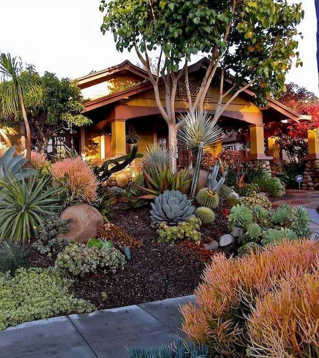Lowwater Landscaping Ideas